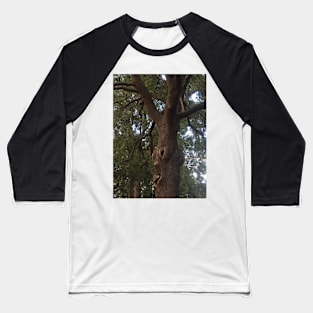 Trees Have Feelings! Baseball T-Shirt